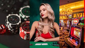 Meja kasino live dengan dealer profesional di platform totobet
